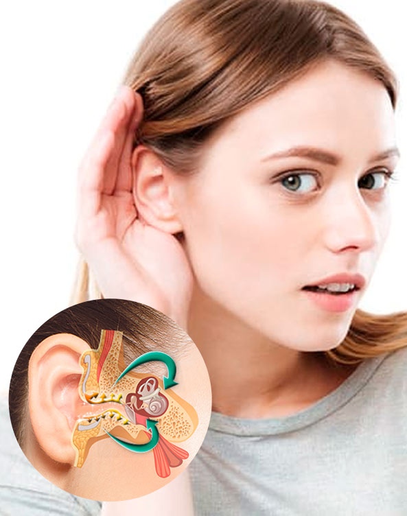 beneficios multilan active