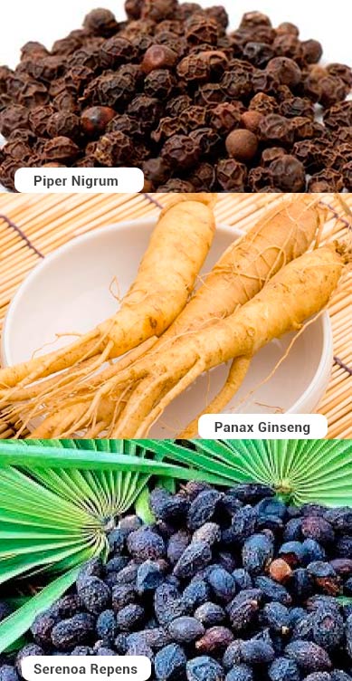 Ingredientes de size gain plus
